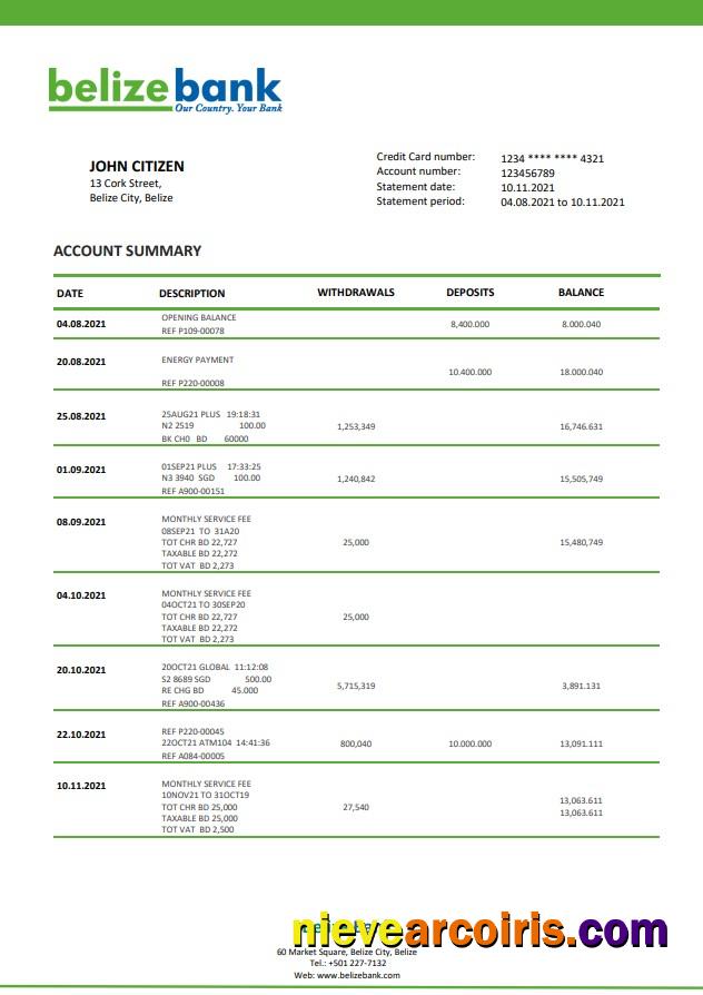 Belize bank statement